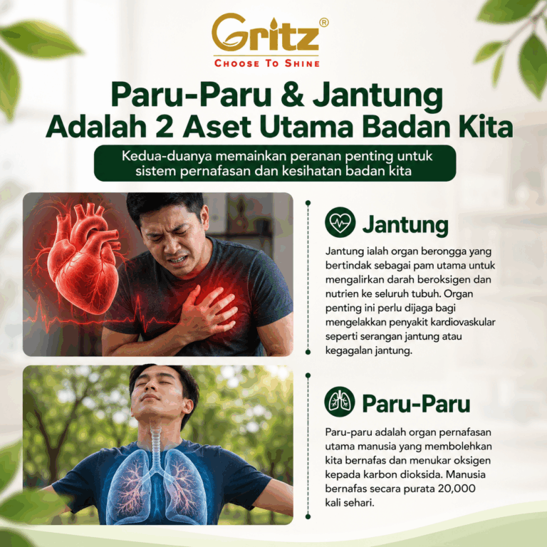 2 Aset Utama